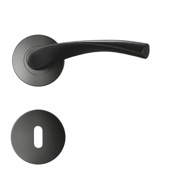 Dhr2023 Door Handle Rosace Arosa Set 8 Black Plain Mat