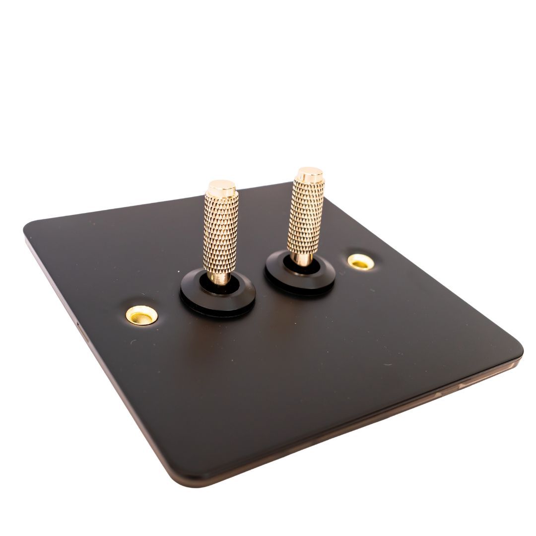 Modern Light Switch with Toggle Lever 2 Switch Black and Gold Shop