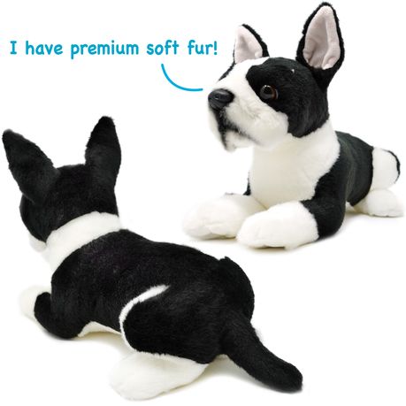 Baxter stuffed dog best sale