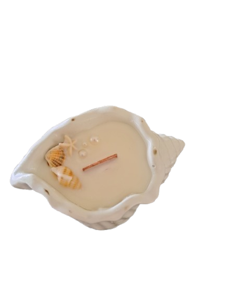 Coastal Charm Shell Candle, Soy wax, 10cm Vanilla scent