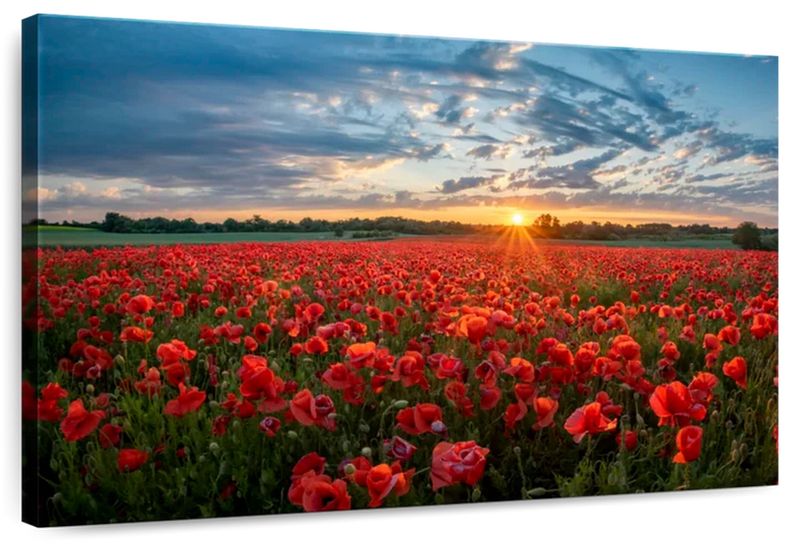 Canvas Art - Poppy Field Canvas Wall Art For Living Bedroom Decor