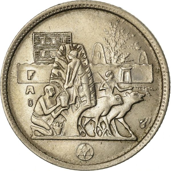 1977 Egypt 5 Qirsh Piastres Coin Food and Agriculture Organization (FAO)