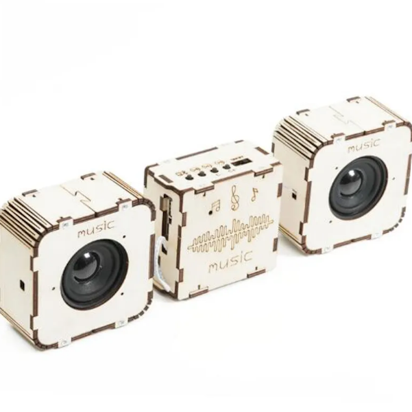 Be a Boffin - Build Your Own Bluetooth Speaker Kit