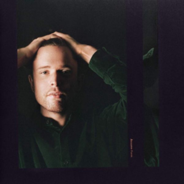 Assume Form (CD / Album)