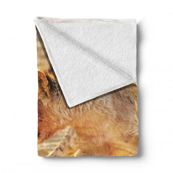 Lion Cubs Jumping Early Morning Light Weight Fleece Blanket By Fanie Heymans