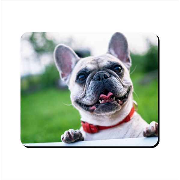 Mouse Pad - Pug Looking