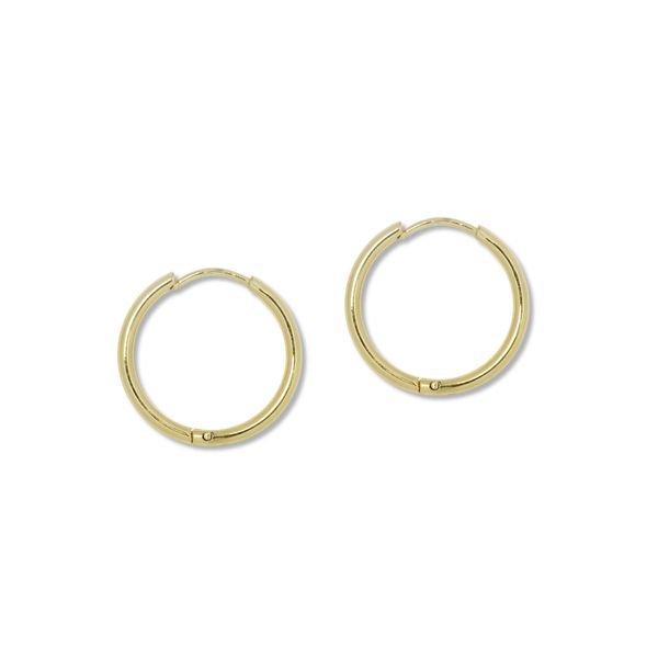 Androgyny Stainless Steel 1.5mm thick Sleeper Earrings