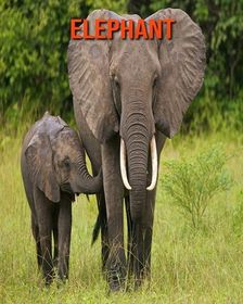 Elephant: Amazing Facts about Elephant | Buy Online in South Africa ...