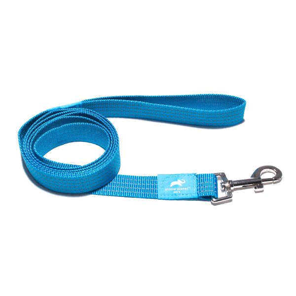 Animal Planet Classic Lead - Turquoise