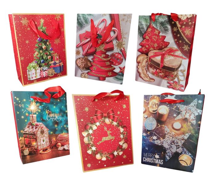 Pack of 6 Christmas and Party Gift Bags - medium size