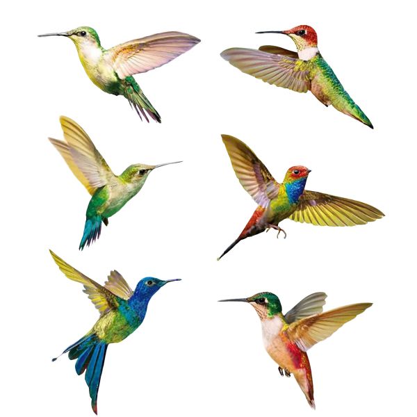MeiView Window Decals (Not Stickers) - Hummingbird (6 Decals)
