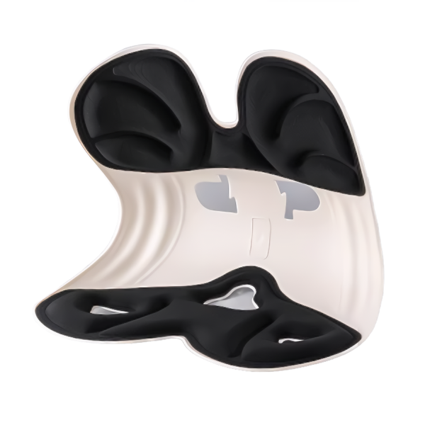 Ergonomic Office Chair Cushions with Lumbar Support