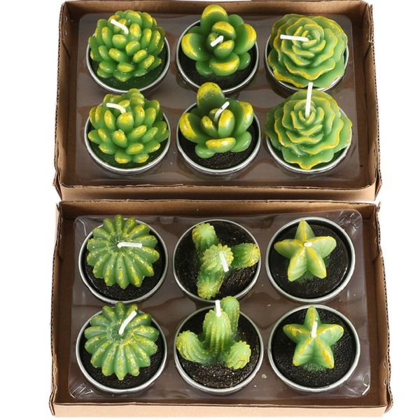 Candle Succulent Plants Cactus set of 12 Awesome