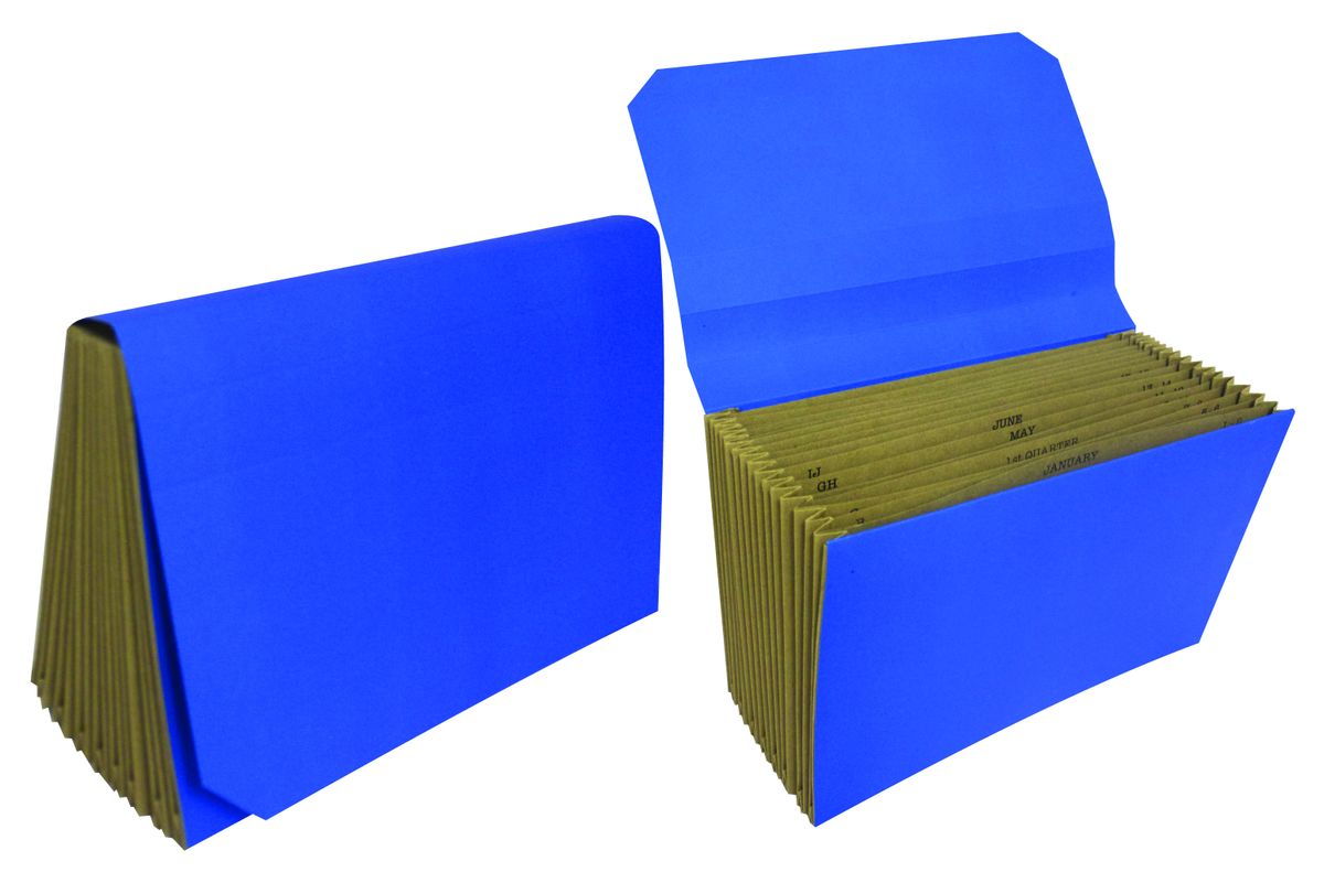 Files 2 pack Executive Concertina File 16 compartment Shop Today. Get