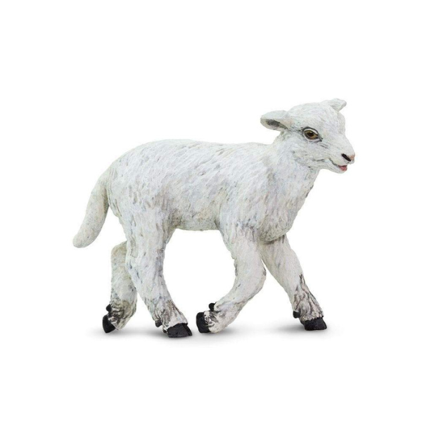 Safari Ltd; Lamb