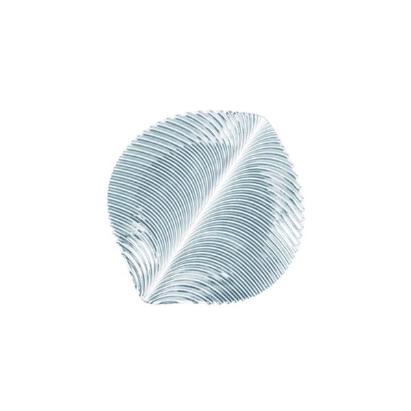 Nachtmann - Mambo Leaf Disk 2 Pieces Plate Set