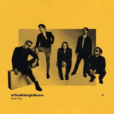 In the midnight room (Vinyl / 12" Album)