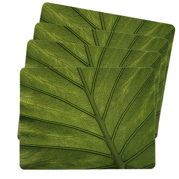 Close Up Leave Floral Placemats