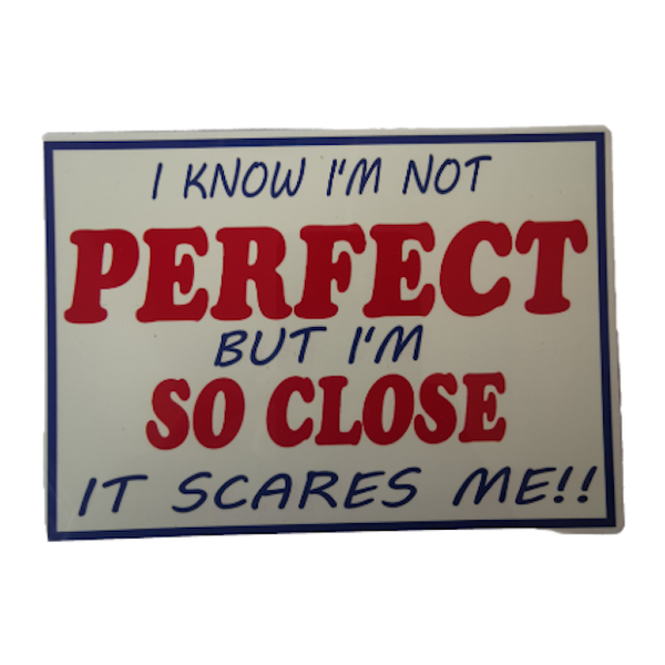 Fun Metal Plate With Magnet I Know Im Not Perfect But Im So Close it Scares