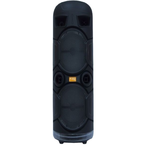 Fussion FR-6025 Portable Radio Player