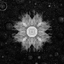 The Infernal Expanse (Vinyl / 12" Album)