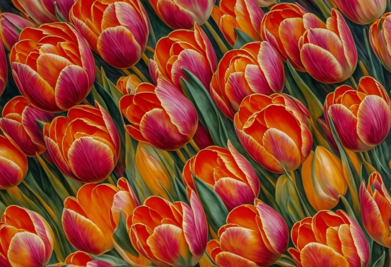 Canvas Wall Art Home Decor - Tulips