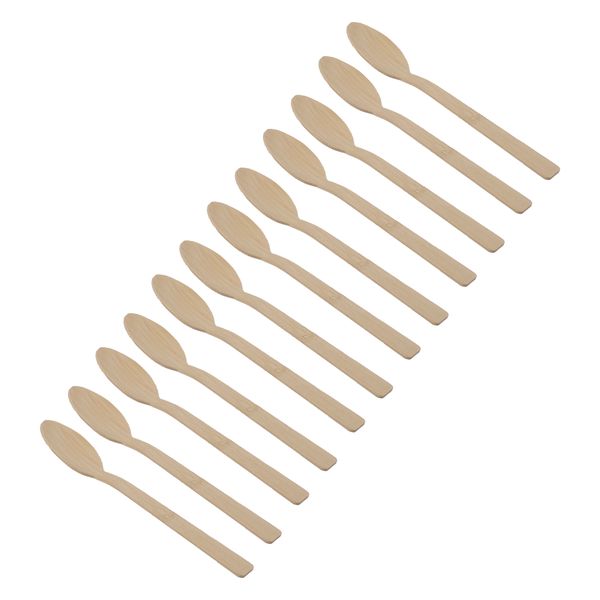 Regent Disposable Bamboo Spoons 170mm 2 Pack 24 Pieces