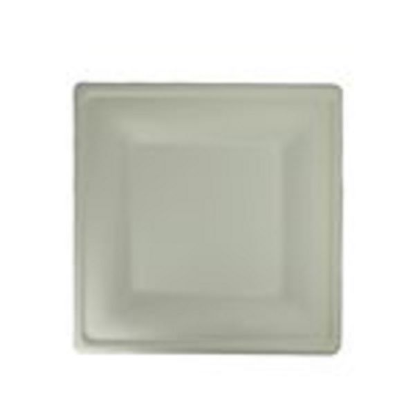 Sugarcane Square Plate Eco-Friendly - 26cm - Pack of 100