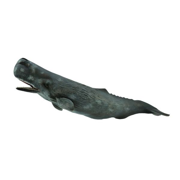 Collecta Sea Life Xl Sperm Whale