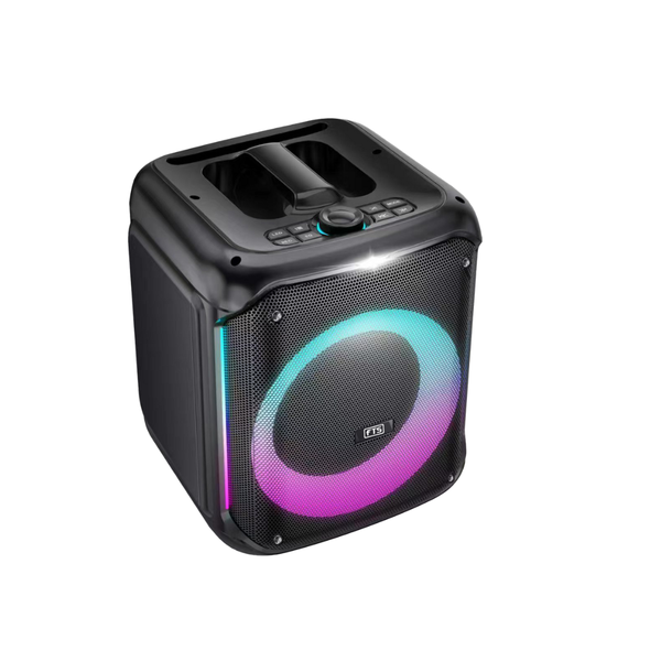 Ingoma 8'' Portable Battery Speaker (FTS-2108)