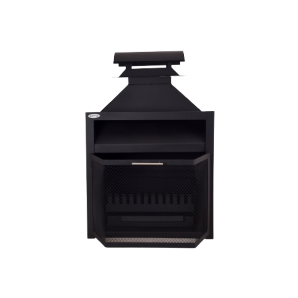 BoMaster 750x2mm Built-In Fireplace