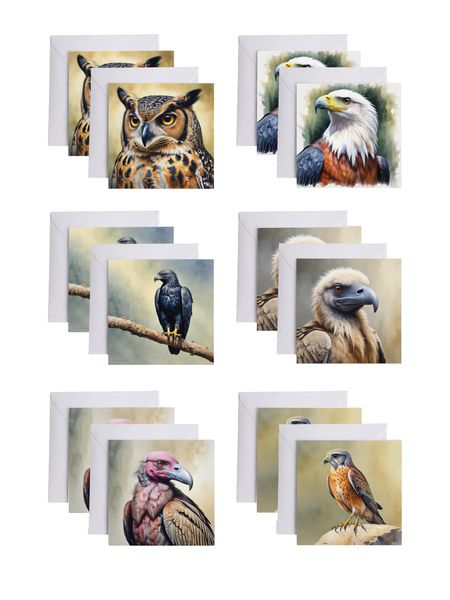 Gift Cards - South African Birds of Prey