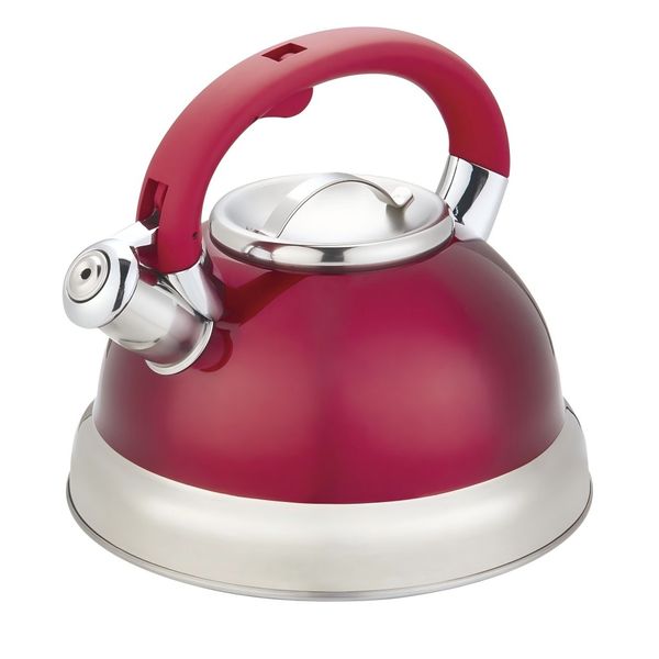 3.5L Whistling kettle 39904