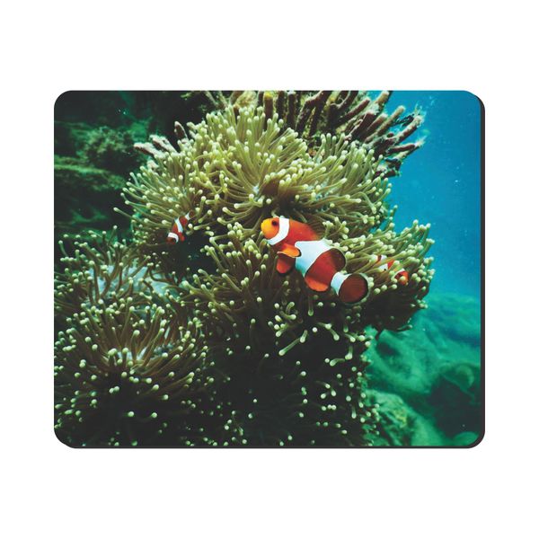 Mouse Pad - Clown Fish