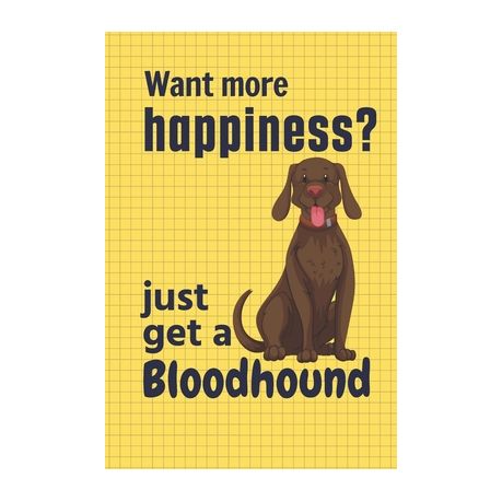 bloodhound puppies for sale south africa