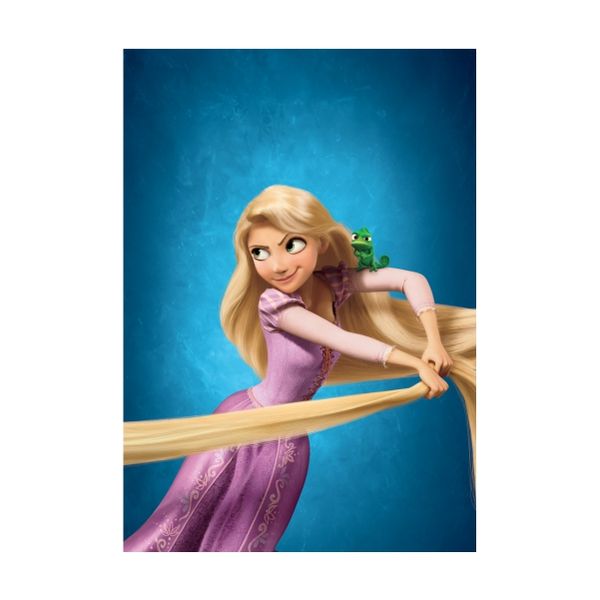 Rapunzel Long Hair - A1 Poster
