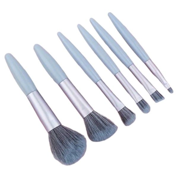 6-Piece Mini Makeup Brush Set