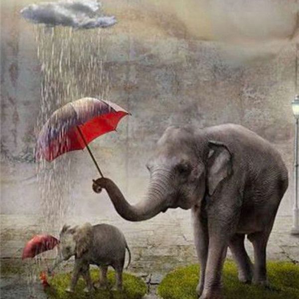 Paint by Numbers DIY Kit - Mother Elephant &amp; Younger