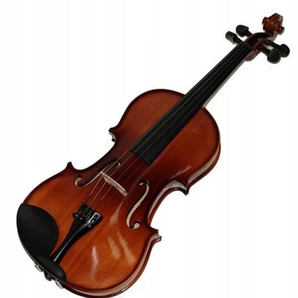 Sandner Bach Violin 4/4 Outfit