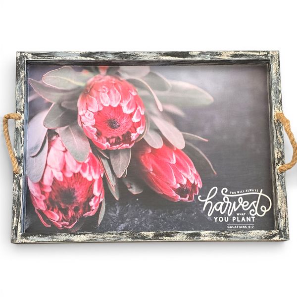 Protea &amp; Inspirational Quote image