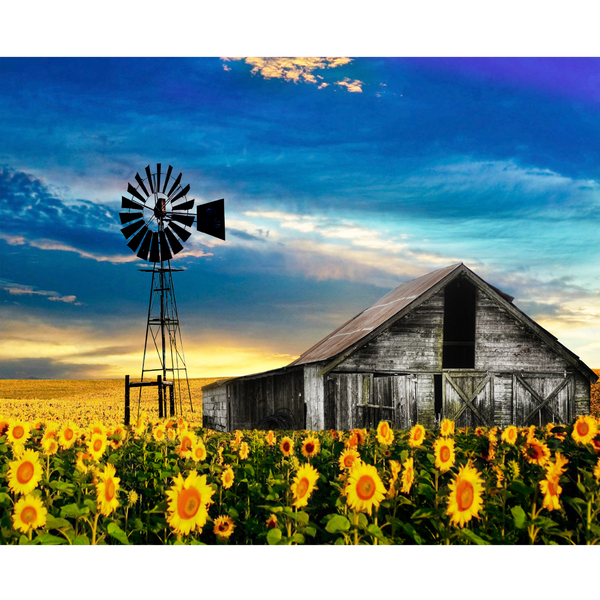 RGS Group Sunflowers In Clarens 1500 Piece Jigsaw Puzzle