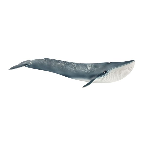 Schleich Wild Life - Blue Whale (27cm Long)