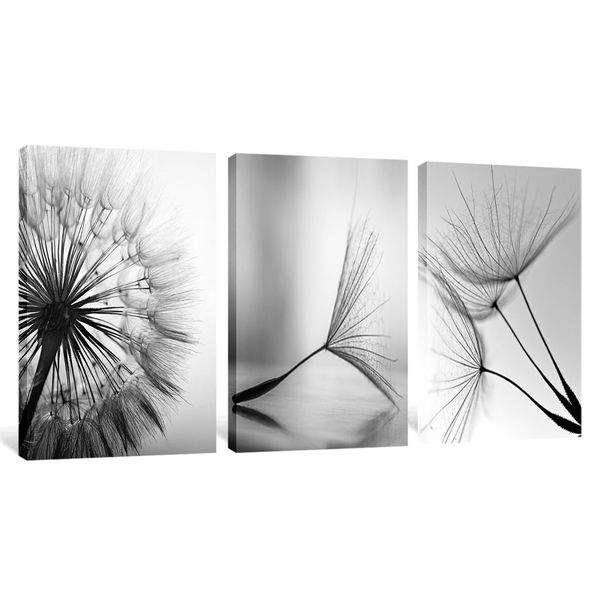 Canvas Art - 3 Piece Nature Dandelion Flower Black White Canvas Wall Art