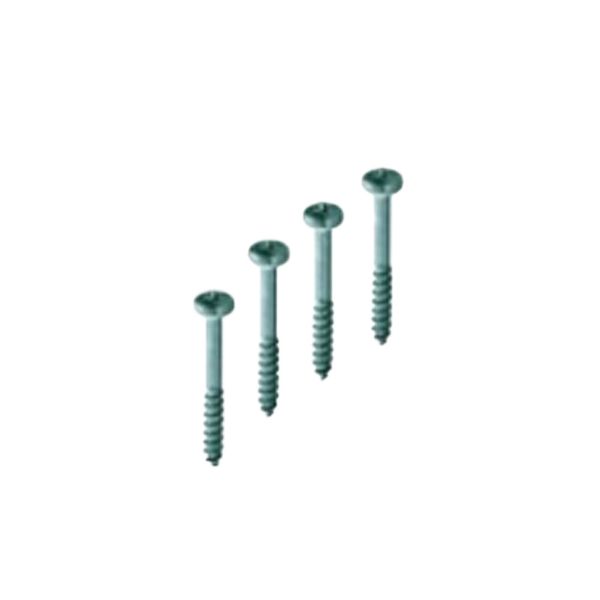 Gewiss - Kit of 4 Screws