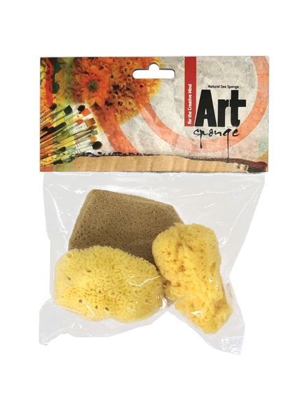 Natural Artist's Sponges Pottery Pack