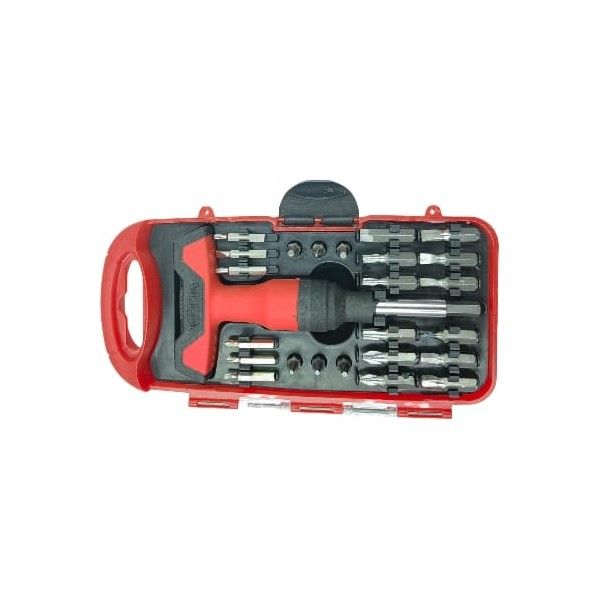 25 Piece T handle With Interchangeable Bits Tool Set