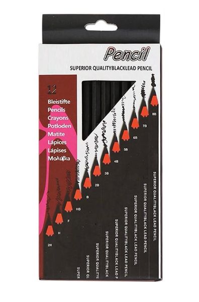 12Pcs Giaded Pencils Professional Sketch Pencils Set ForDrawing And Shading