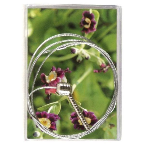 Magnets Photoline Steely Dan