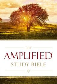 Amplified Study Bible, Hardcover 