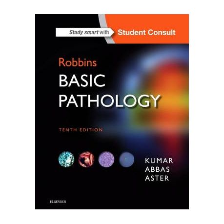 Robbins Basic Pathology Buy Online In South Africa Takealot Com